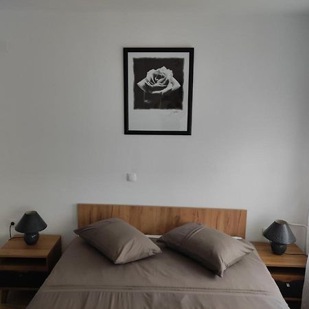 Studio Apartman Rose Lägenhet Plitvička Jezera Exteriör bild